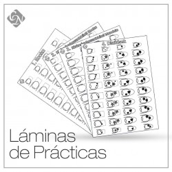 Laminas de Practicas  - 5