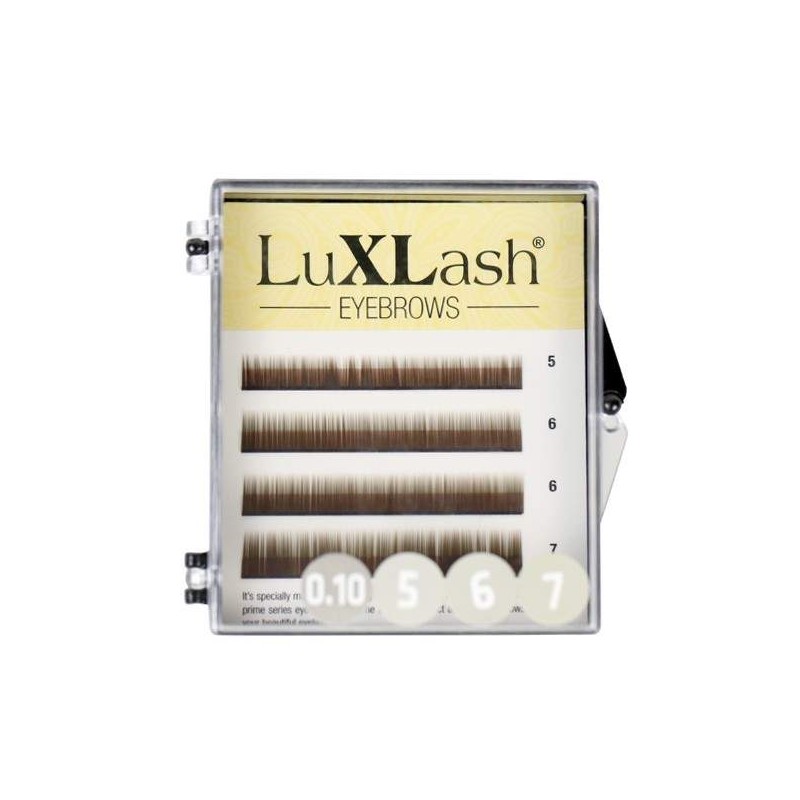 EyeBrows LX light brow  - 1